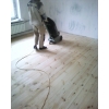 Шлифовка пола