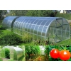 Теплица под поликарбонат ECO 6x3x2